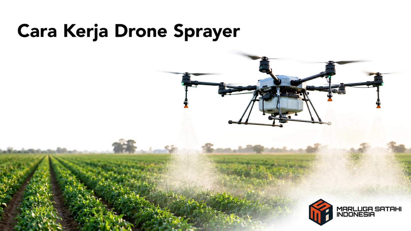 Drone sprayer menyemprot lahan pertanian secara otomatis menggunakan sistem GPS untuk menghasilkan penyemprotan yang presisi dan merata.